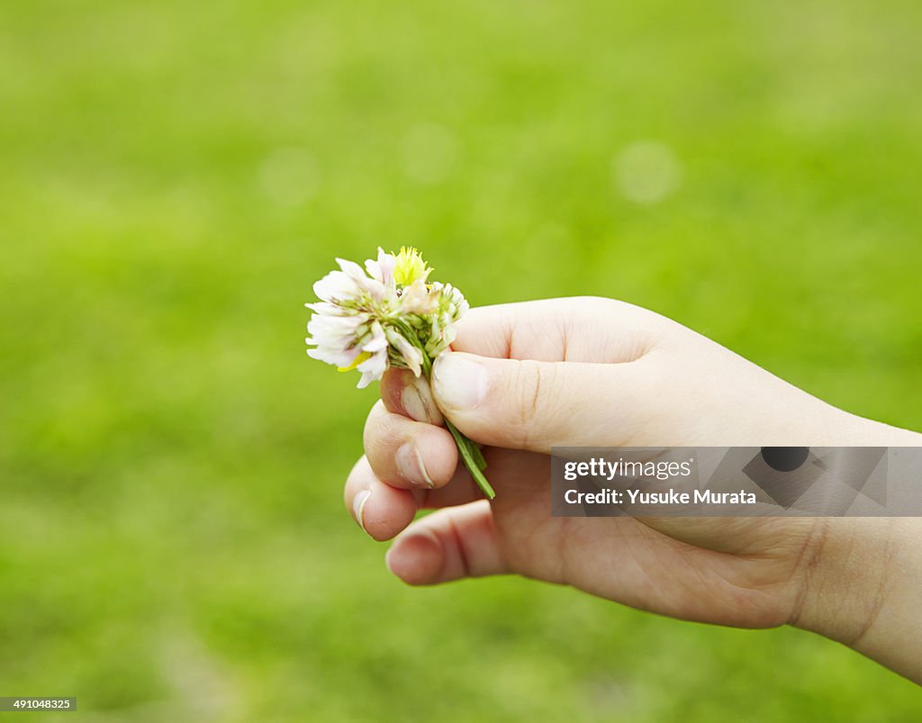 Hand of young girl with flower