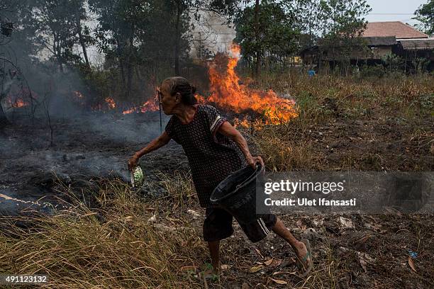 An elderly woman splash the water as they extinguish the fire on burned peatland and fields near his house at Ogan Ilir district on October 3, 2015...