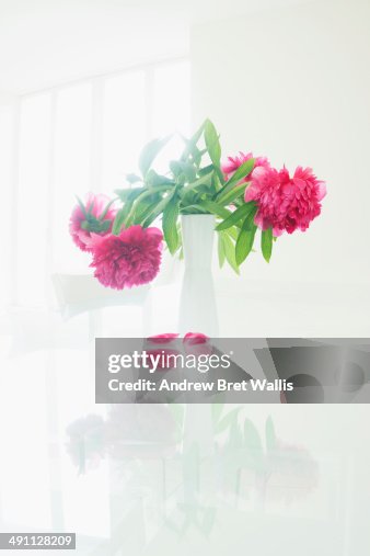 Vase of Peony flowers with falling petals Vase of Peony flowers with falling petals