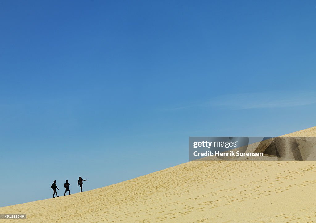 Surfers on the beach