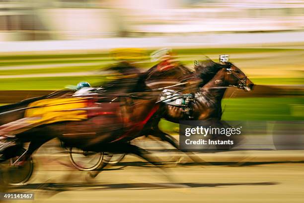 corrida de cavalos - sport equestre imagens e fotografias de stock