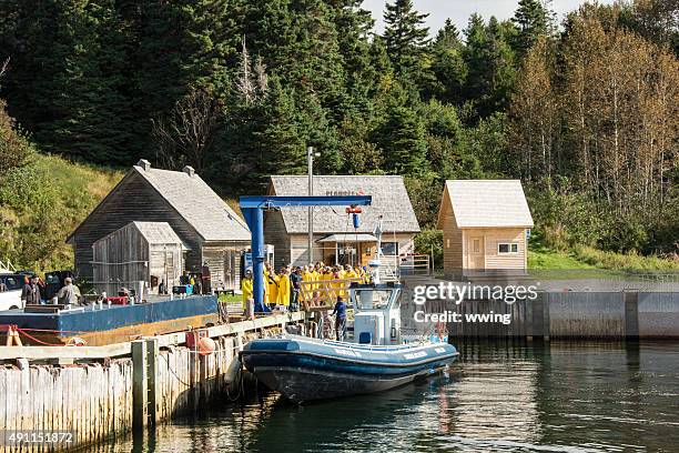 whale watchers departing at forillion national park, gaspe, quebec - gaspe peninsula stock pictures, royalty-free photos & images