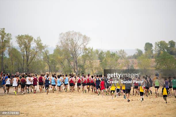 Cross Country Ranch Buffalo Ranch Cross Country Course Photos and Premium High Res Pictures ...