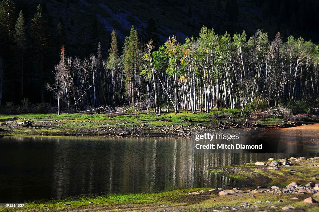 Sierra Nevada autumn reflections