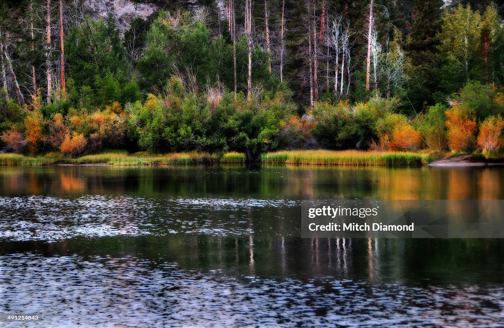 Sierra Nevada autumn reflections