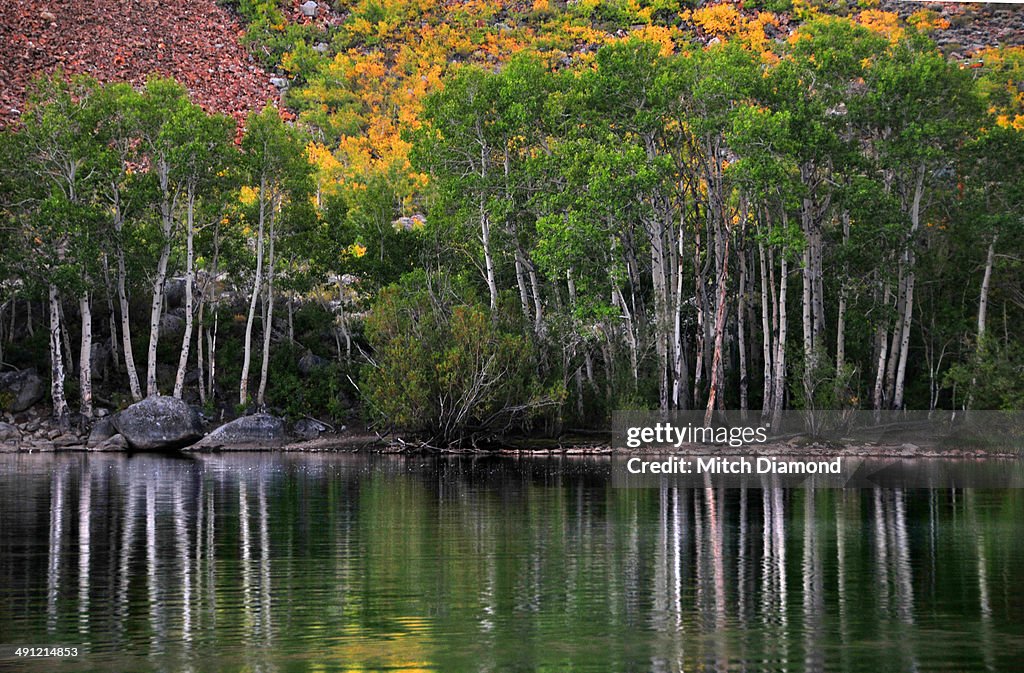 Sierra Nevada autumn reflections