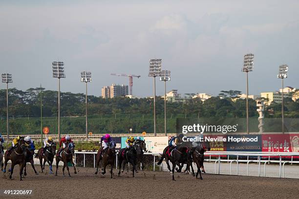 Hidden Venture under Lisa Allpress wins the 1100m Lim's Objective 2007 Stakes during the Singapore Guineas at Singapore Turf Club on May 16, 2014 in...