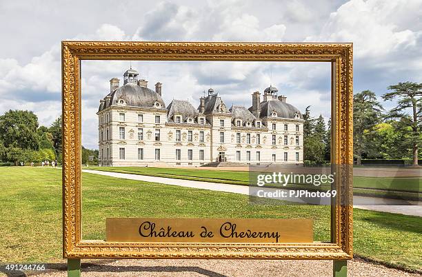castello di cheverny - blois foto e immagini stock
