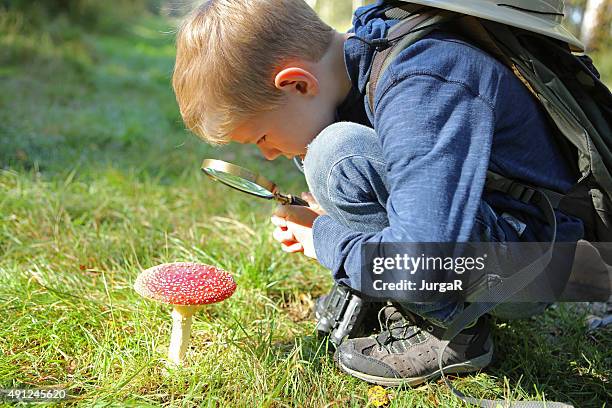 criança segurando lupa olhando agárico - fly agaric mushroom - fotografias e filmes do acervo