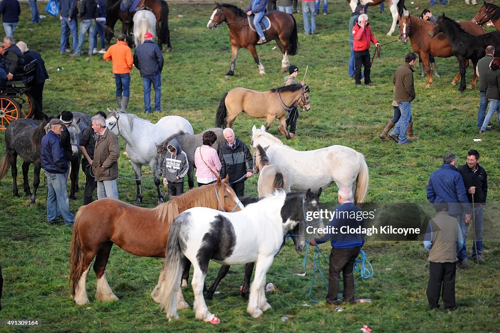 Ballinasloe Horse Fair And Festival 2015