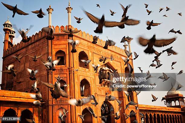jama masjid - old delhi, india - delhi jama masjid mosque stockfoto's en -beelden