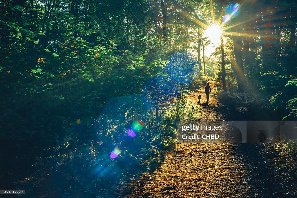 Into the woods