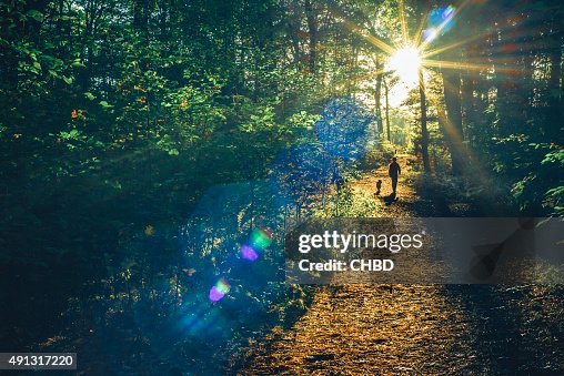 Into the woods Into the woods