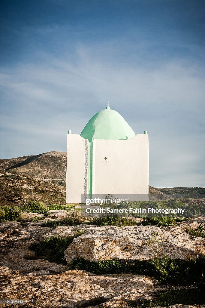 Sidi Mohamed El Borzini