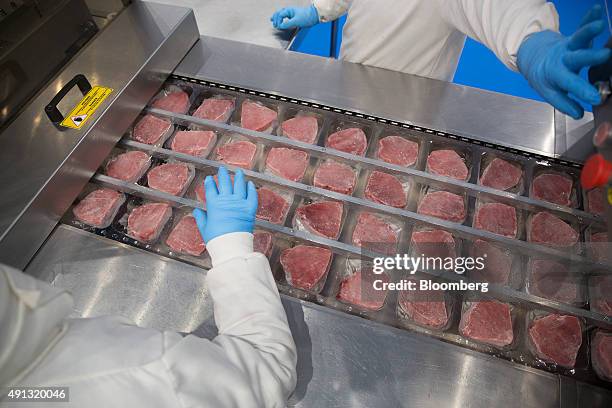 Tuna Process Tuna Processing Photos and Premium High Res Pictures - Getty Images