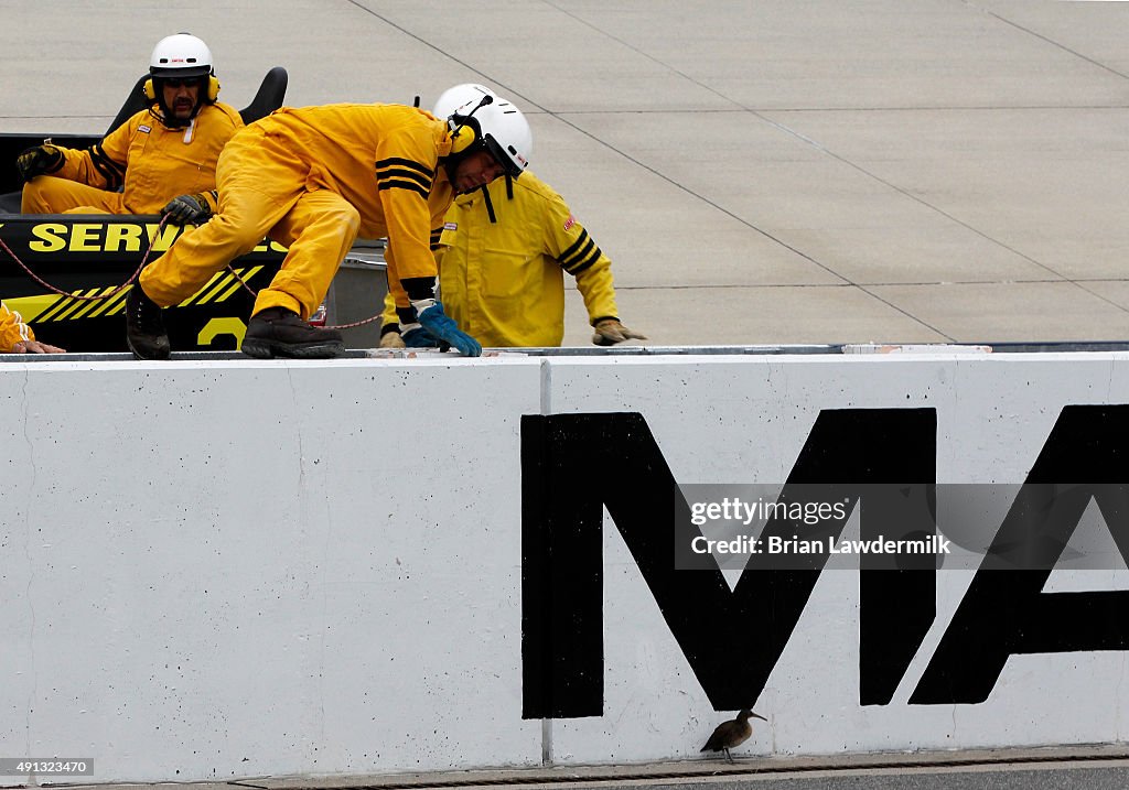 NASCAR Sprint Cup Series AAA 400