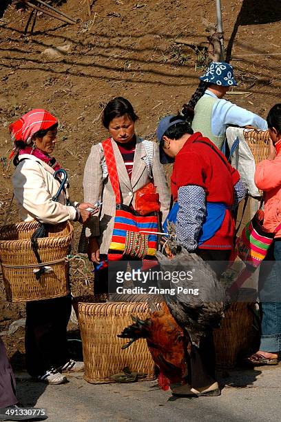 Stall selling hens at the weekly bazaar. The Lisu Autonomous Prefecture of Nujiang, located in the northwest of Yunnan province near Tibet, has...