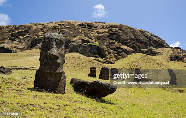 Rano Raraku Reeds Rano Raraku Photos and Premium High Res Pictures - Getty Images