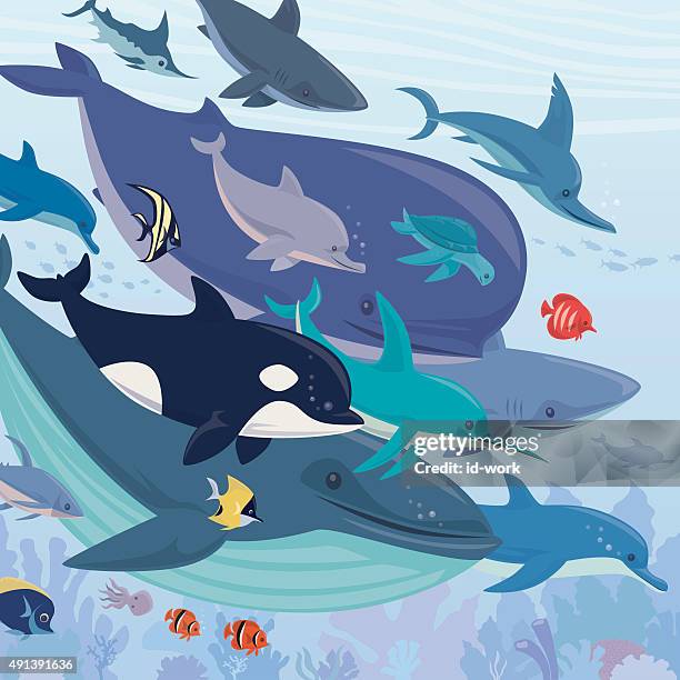 illustrazioni stock, clip art, cartoni animati e icone di tendenza di creature del mare - marlin