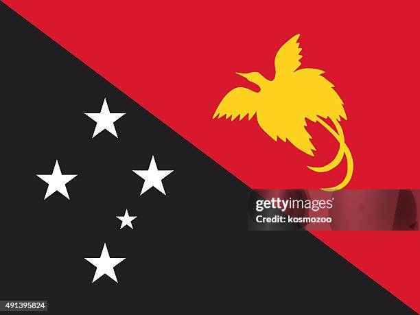 flag papua new guinea - papua new guinea stock illustrations