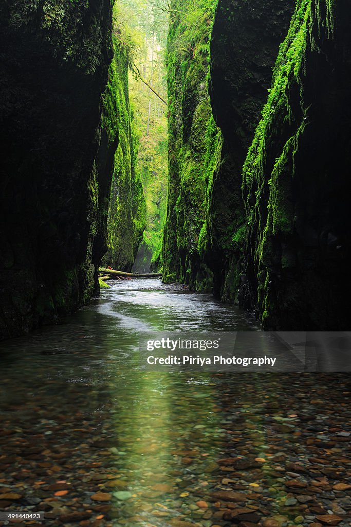 Oneonta Gorge