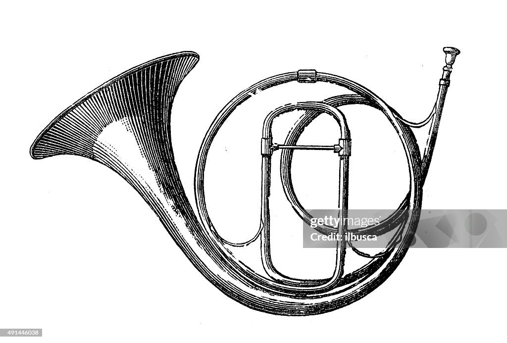 Anticuario ilustración de instrumentos musicales: Bocina