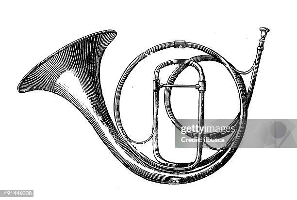 antique illustration of musical instruments: horn - horn stock illustrations