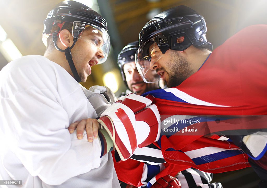 Ice hockey fight.