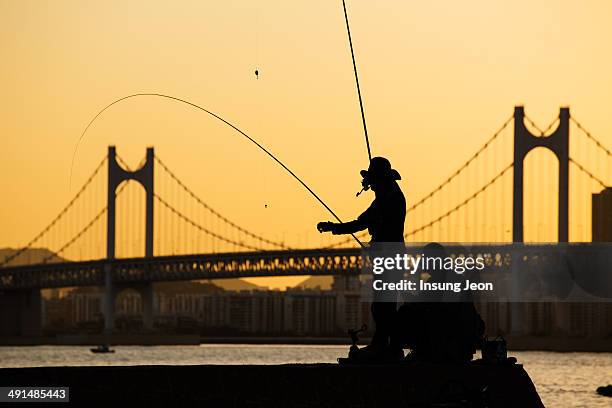 fishing at sunset - busan stock pictures, royalty-free photos & images