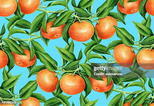 tangerine pattern - orange tree stock illustrations