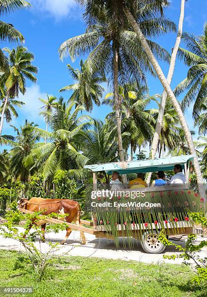 Marriage under palmtrees in white elegant clothes at the famous Source D´Argent Beach on October 01, 2015 in La Passe, La Digue, Seychelles.