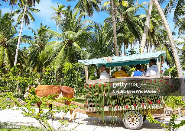 Marriage under palmtrees in white elegant clothes at the famous Source D´Argent Beach on October 01, 2015 in La Passe, La Digue, Seychelles.