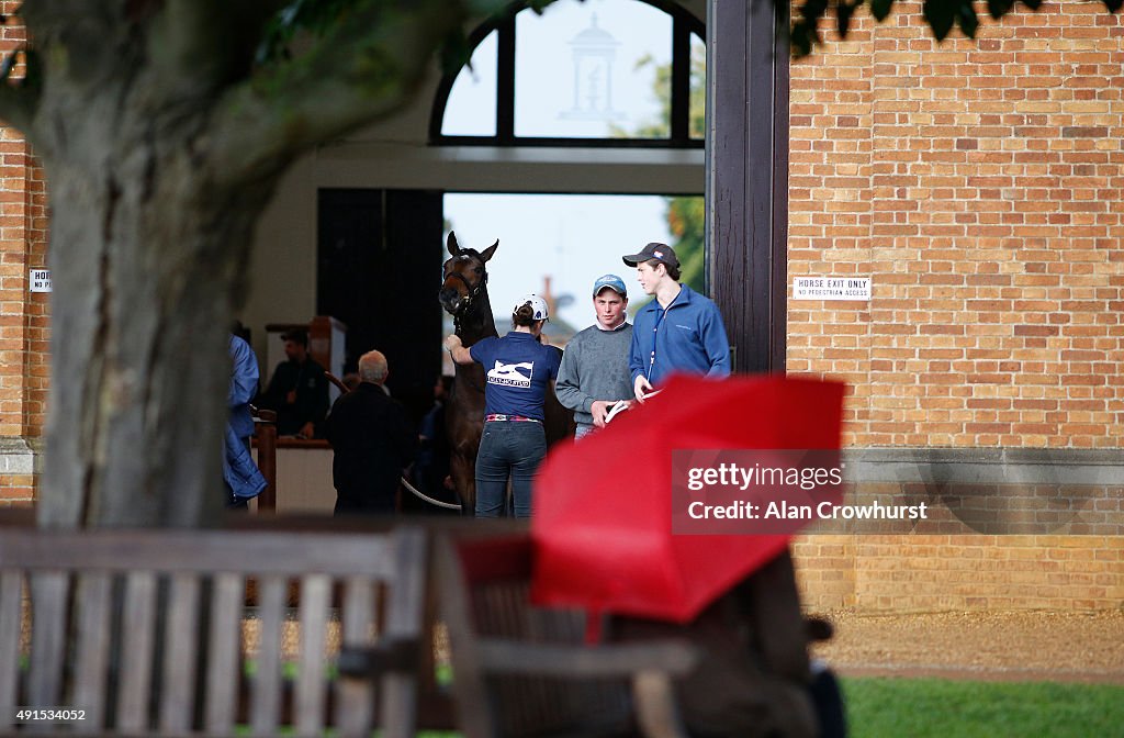 Tattersalls Auction