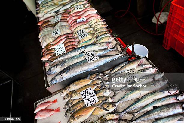 Wide variety of fish is seen for sale at the seafood and fish market in Veracruz, Mexico, 29 June 2015.