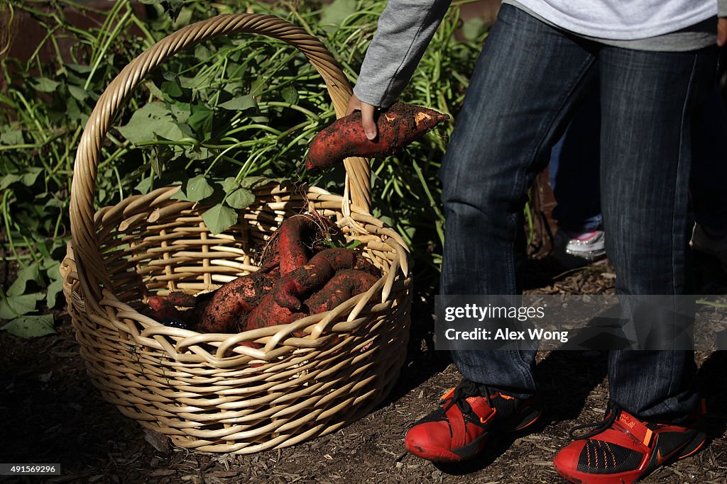 First Lady Michelle Obama Hosts Students For The Fall Harvest Of The White House Kitchen Garden