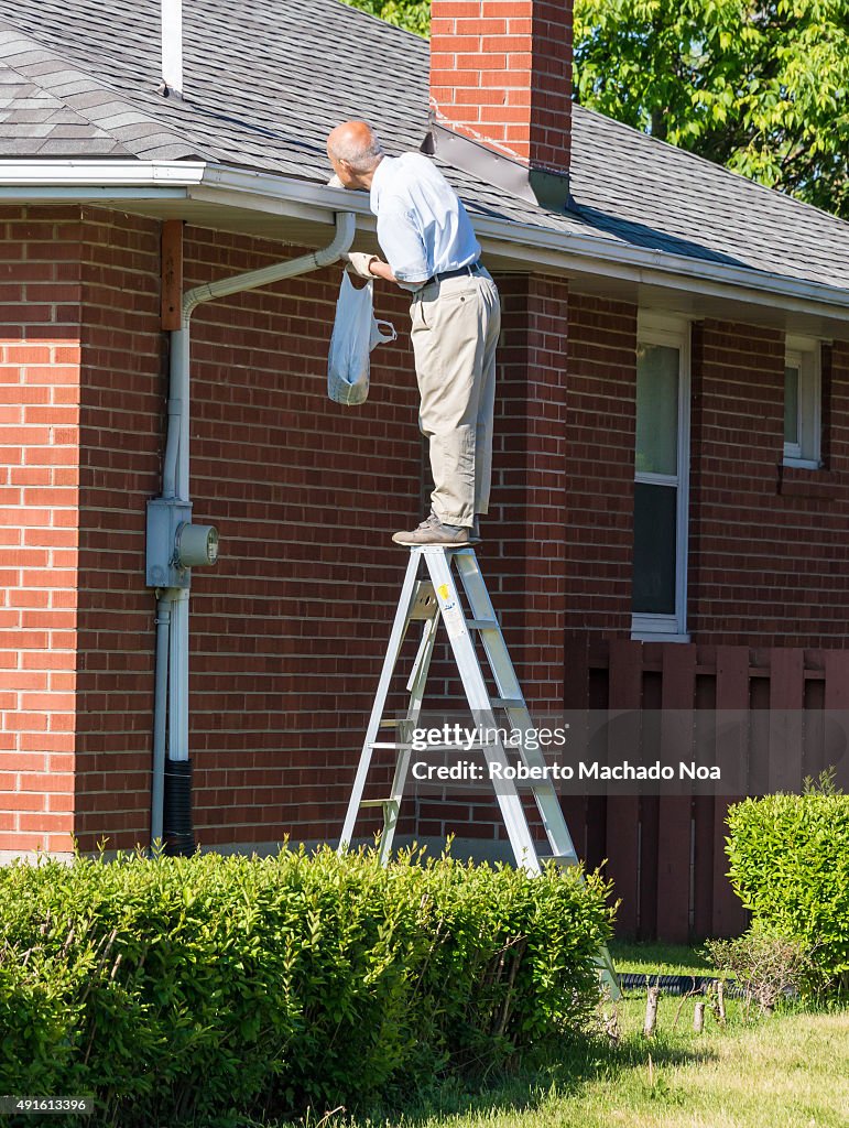 Seniors in Canada: Senior man cleaning a rain gutter on a...
