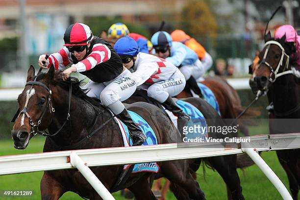 Kayla Nisbet riding Lord of the Sky wins Race 6, the Taralye Listen Learn Speak Plate during Melbourne Racing at Caulfield Racecourse on May 17, 2014...
