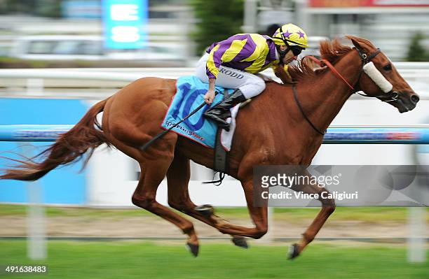 Michael Rodd riding Sonntag wins Race 7, the ALH Group Handicap during Melbourne Racing at Caulfield Racecourse on May 17, 2014 in Melbourne,...