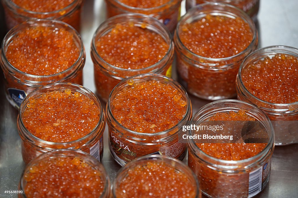 Caviar And Salmon Production At Russian Sea CJSC