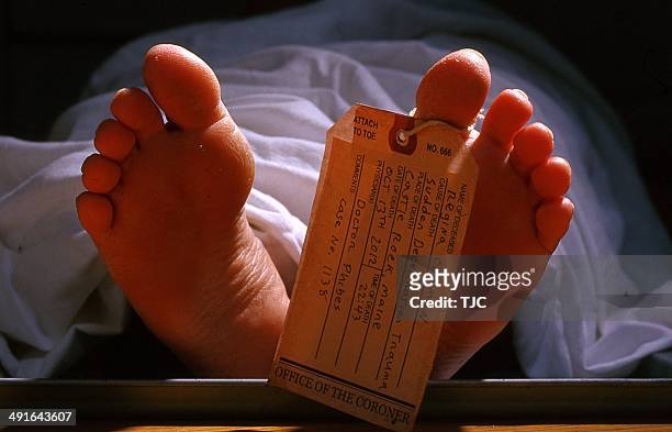 a dead female body with a toe tag - morgue woman bildbanksfoton och bilder