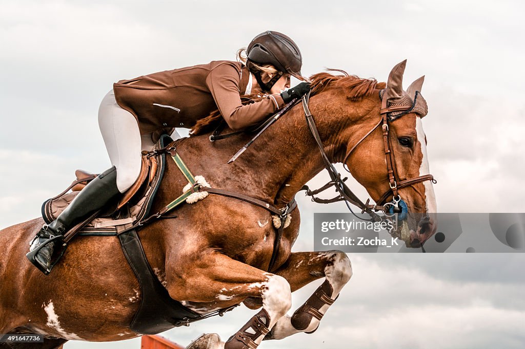 Show jumping - horse with rider jumping over hurdle