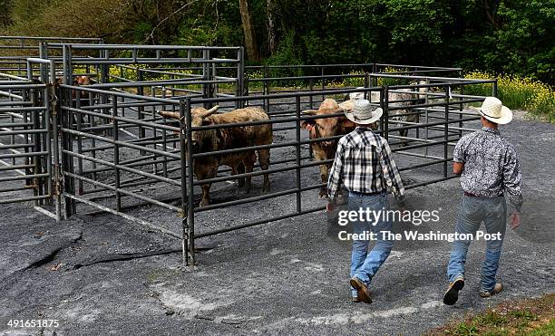 Justin Reed Bull Rider Middletown High School Photos and Premium High Res Pictures - Getty Images