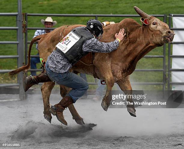 Justin's First Bull Ride Middletown Area High School Photos and Premium High Res Pictures ...