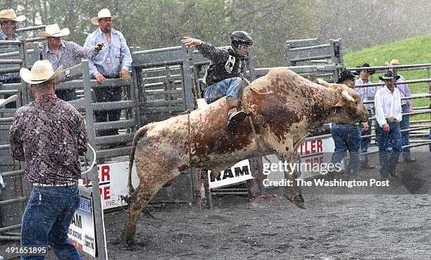 Justin's First Bull Ride 38 Justin Stonestreet Stock Photos, High-Res Pictures, and Images ...