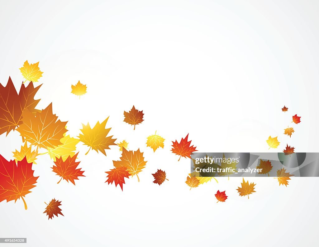 Autumn Background High-Res Vector Graphic - Getty Images