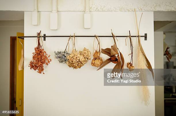 dried flowers  displayed in  cafe - dried plant stock pictures, royalty-free photos & images