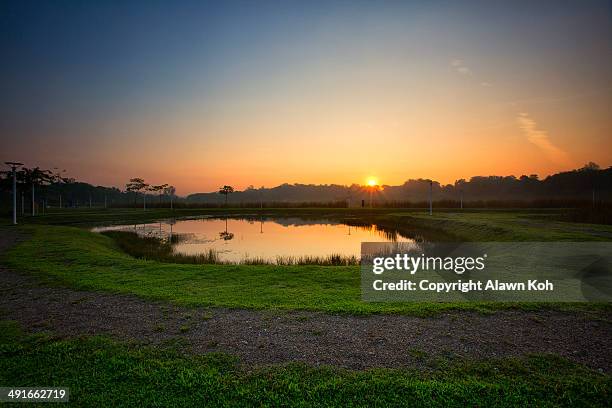 sunrise over pond and pebbled path - pebbled road stock pictures, royalty-free photos & images