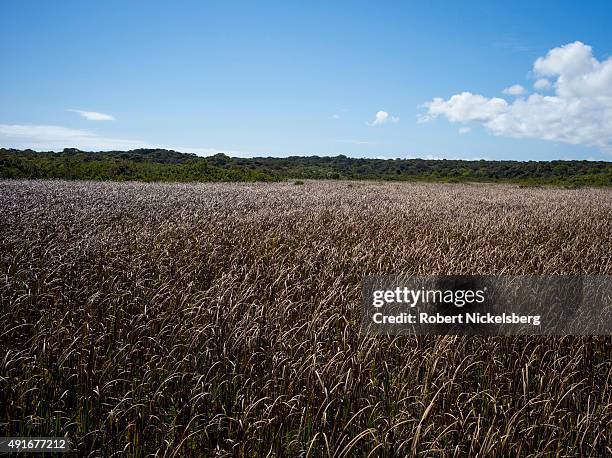 Lowlying Low Lying Land Photos and Premium High Res Pictures - Getty Images
