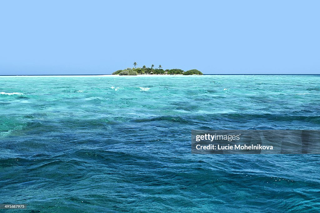 Lonely island