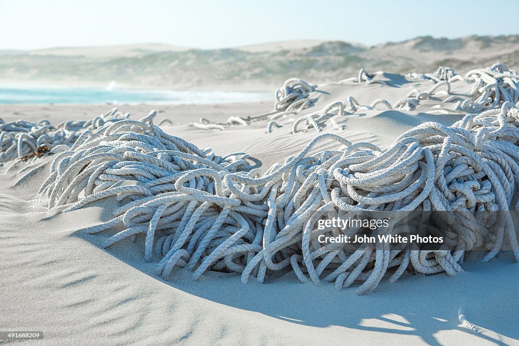 Washed Up Rope Waste Rope Washed Up On A Beach High-Res Stock Photo - Getty Images